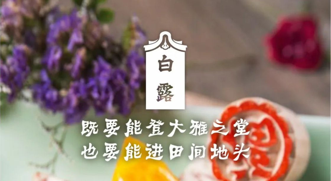 當二十四節(jié)氣遇見揭陽美食 | 白露 · 糕燒番薯芋